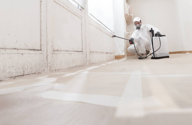 24/7 Emergency Basement Mold Remediation experts in Newtown, PA
