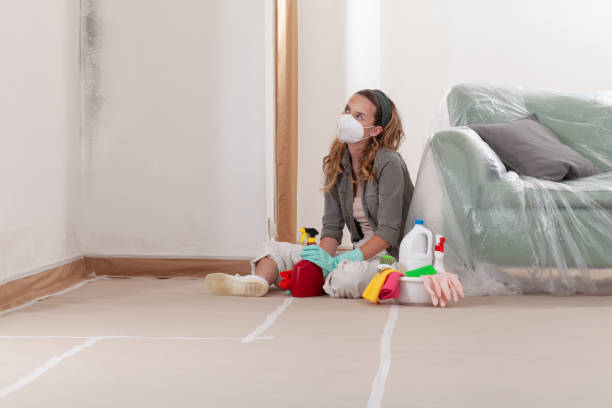 Reliable Basement Mold Remediation contractor in Newtown, PA by Car Mold Remediation
